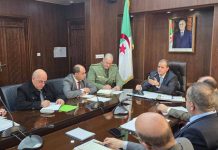 Base de données numérique, coordination sectorielle et stratégie d’export: Le plan de Kamal Rezig