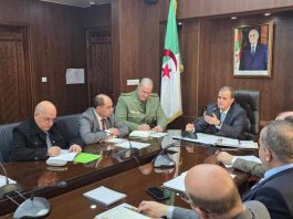 Base de données numérique, coordination sectorielle et stratégie d’export: Le plan de Kamal Rezig