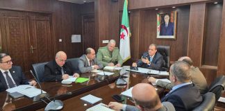 Base de données numérique, coordination sectorielle et stratégie d’export: Le plan de Kamal Rezig