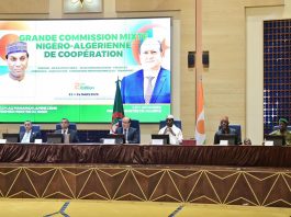 Algérie-Niger: Un axe stratégique et un modèle de coopération régionale