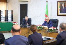 Criquet pèlerin : le gouvernement renforce la riposte dans le sud-ouest: Réunion interministérielle pour évaluer l’état de préparation et mobiliser les moyens terrestres et aériens