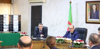 Criquet pèlerin : le gouvernement renforce la riposte dans le sud-ouest: Réunion interministérielle pour évaluer l’état de préparation et mobiliser les moyens terrestres et aériens