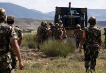 Tébessa: Quatre terroristes éliminés