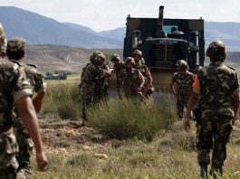 Tébessa: Quatre terroristes éliminés