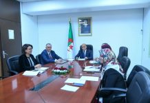 La diplomatie parlementaire en action: Visioconférence stratégique pour renforcer la coopération politique, énergétique et africaine