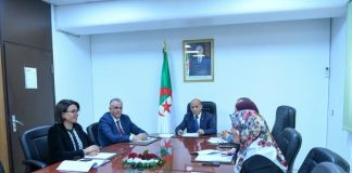 La diplomatie parlementaire en action: Visioconférence stratégique pour renforcer la coopération politique, énergétique et africaine