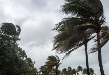 Persistance des vents forts lundi et mardi sur plusieurs wilayas