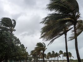 Persistance des vents forts lundi et mardi sur plusieurs wilayas