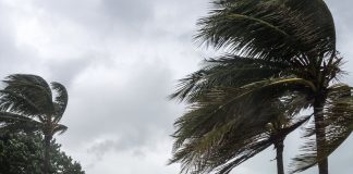 Persistance des vents forts lundi et mardi sur plusieurs wilayas