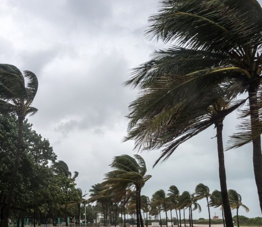 Persistance des vents forts lundi et mardi sur plusieurs wilayas