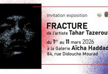 « Fracture », nouvelle exposition de l’artiste plasticien Tahar Tazerout