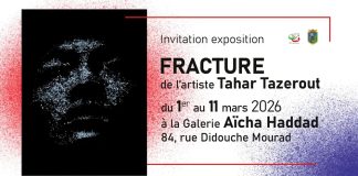 « Fracture », nouvelle exposition de l’artiste plasticien Tahar Tazerout