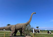 Exposition sur les dinosaures: Ouverture à Alger de la deuxième édition