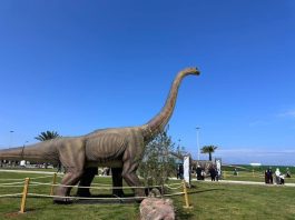 Exposition sur les dinosaures: Ouverture à Alger de la deuxième édition