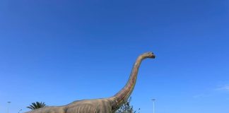 Exposition sur les dinosaures: Ouverture à Alger de la deuxième édition