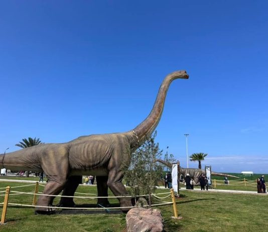 Exposition sur les dinosaures: Ouverture à Alger de la deuxième édition