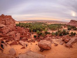 Timimoun: Plus de 4.500 touristes étrangers ont visité l’Oasis rouge ces deux dernières années