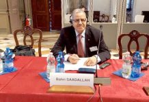 Coopération institutionnelle: Bahri Saadallah prend part à la 146ᵉ session de la Commission de Venise
