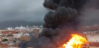 Un incendie dans un entrepôt de stockage de bois à Blida: La Protection civile évacue quatre familles