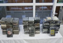 MDN: Plus de 111 kg de cocaïne saisis à Tizi Ouzou et Bordj Bou Arreridj