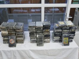 MDN: Plus de 111 kg de cocaïne saisis à Tizi Ouzou et Bordj Bou Arreridj