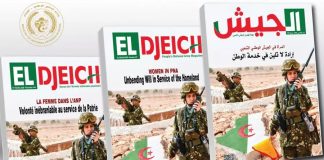 L’ANP poursuit son combat contre toutes les formes de criminalité et de trafic: Une détermination sans faille, une volonté inébranlable