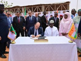 40 MW pour renforcer le réseau électrique: Une centrale stratégique à Niamey pour soutenir la demande énergétique