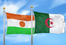 Algérie–Niger: la 2e Commission mixte en action: Énergie, infrastructures et échanges au cœur des discussions