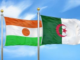 Algérie–Niger: la 2e Commission mixte en action: Énergie, infrastructures et échanges au cœur des discussions