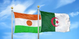 Algérie–Niger: la 2e Commission mixte en action: Énergie, infrastructures et échanges au cœur des discussions