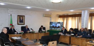 Menace acridienne: La riposte aérienne et terrestre activée