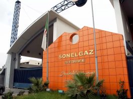 Sonelgaz accélère son expansion internationale: «Sonelgaz-International» pour capter les marchés africains et méditerranéens