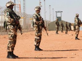 Plus de 170 quintaux saisis en 2025: Frontières sous haute surveillance