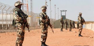 Plus de 170 quintaux saisis en 2025: Frontières sous haute surveillance