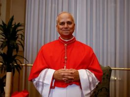 La visite du pape Léon XIV (Robert Francis Prevost) en Afrique: Favoriser le dialogue des cultures et des civilisations