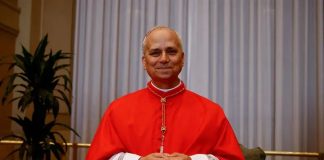 La visite du pape Léon XIV (Robert Francis Prevost) en Afrique: Favoriser le dialogue des cultures et des civilisations