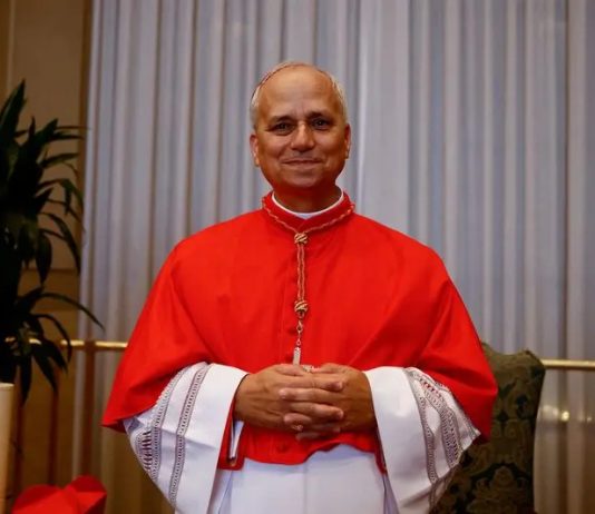 La visite du pape Léon XIV (Robert Francis Prevost) en Afrique: Favoriser le dialogue des cultures et des civilisations