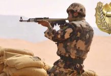 Opérations intensifiées à travers le territoire: 7 terroristes éliminés à Tébessa