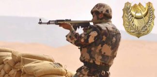 Opérations intensifiées à travers le territoire: 7 terroristes éliminés à Tébessa