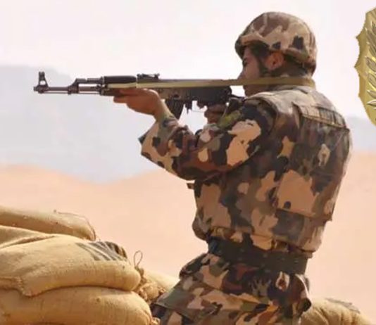 Opérations intensifiées à travers le territoire: 7 terroristes éliminés à Tébessa