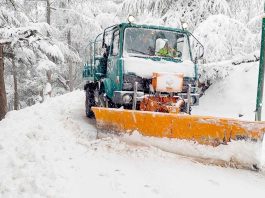 Neige: routes rouvertes dans plus de 10 wilayas: Mobilisation générale sur les axes routiers