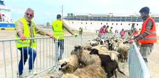 Aïd El-Adha: 1 million de moutons attendus d’ici le 20 mai