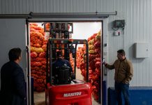 Blida, Médéa, Aïn Defla et Bouira: Déstockage de plus de 2.400 tonnes de pommes de terre dans 4 wilayas du Centre