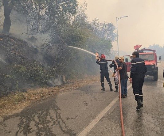 Blida: Les moyens mobilisés ont permis de réduire la superficie détruite par les feux de forêts depuis 2021