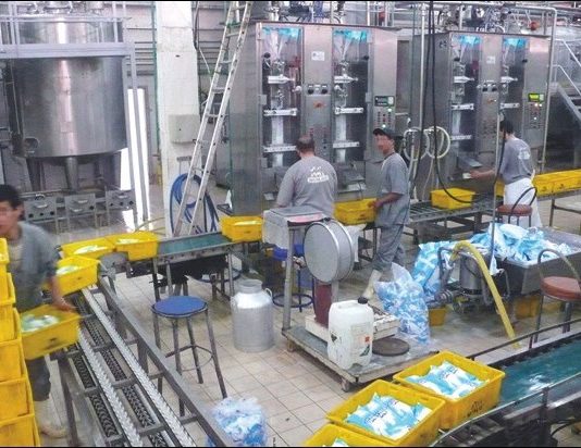 Boumerdès: Production de plus de 36 millions de litres de lait frais en 2025