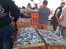 Annaba: Pêche quotidienne d’environ 20 tonnes de poissons durant le mois de Ramadhan