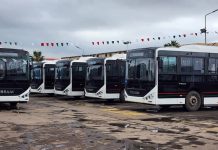 Transport public: L’ETUC met en service de 50 nouveaux bus à Constantine, l’ETUSA en met 50 autres à Annaba