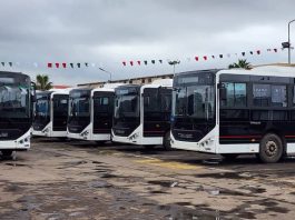 Transport public: L’ETUC met en service de 50 nouveaux bus à Constantine, l’ETUSA en met 50 autres à Annaba