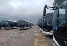 Oran: Réception de 50 nouveaux bus pour renforcer le transport urbain