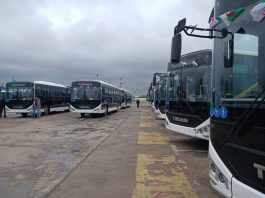 Oran: Réception de 50 nouveaux bus pour renforcer le transport urbain